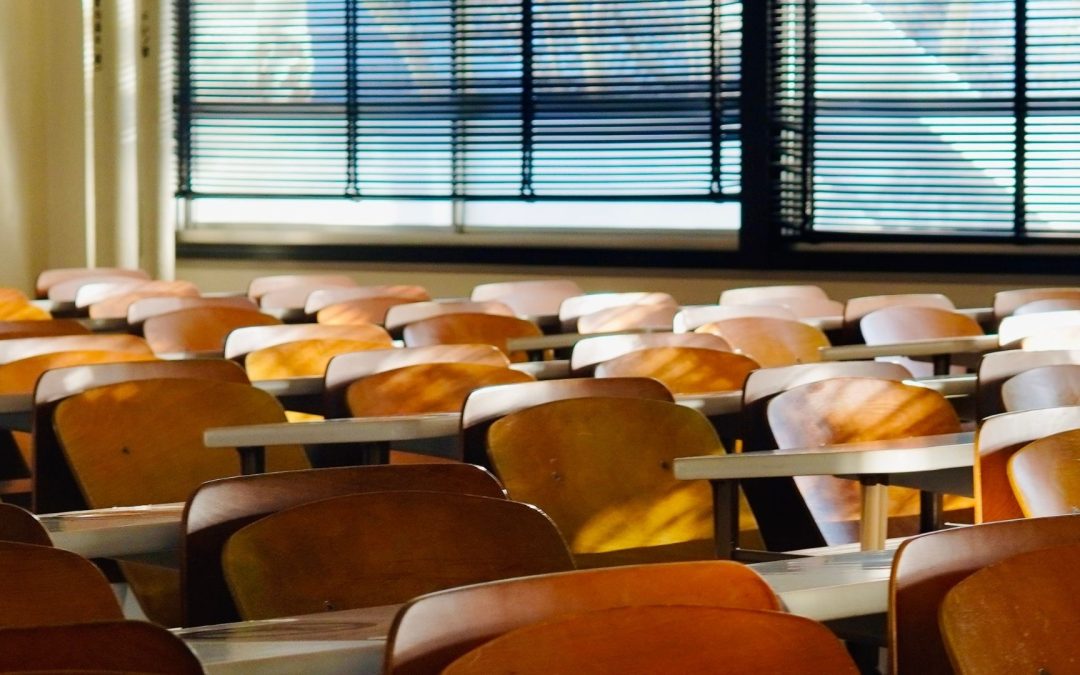 Lycée : Comment le Conseil de Classe Décide Vraiment de votre Avenir