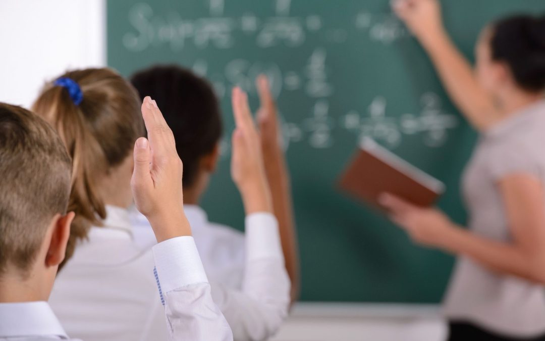 Les métiers verts : l’orientation lycée face à la crise climatique
